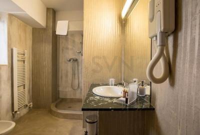 Hotel/Pensiune, de 2,556 mp, în Cișmigiu - 16