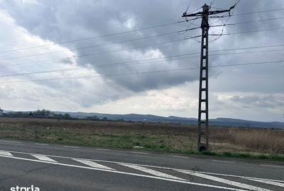 Teren de 26112 mp, în Ernei - 7