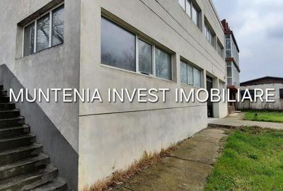 Spațiu comercial, de 672 mp, în Mărăcineni - 6