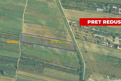 Teren Construcții intravilan de 7545 mp, în Argeșelu - 2