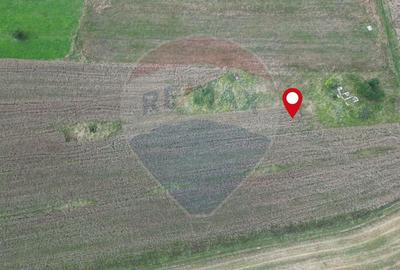 Teren agricol intravilan de 1180 mp, în Sud - 8