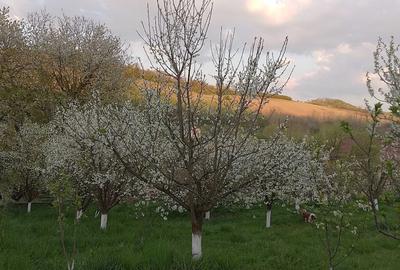 Casă cu 3 camere în Geaca - 1