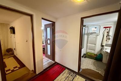 Casă individuală cu 5 camere cu Teren 3344 Mp în Țifești - 8