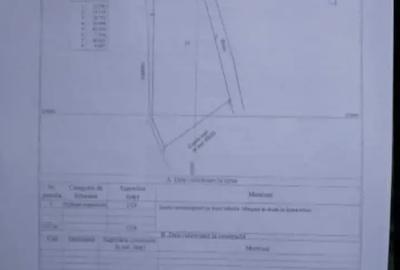 Casă cu Teren 1350 Mp în Central - 2