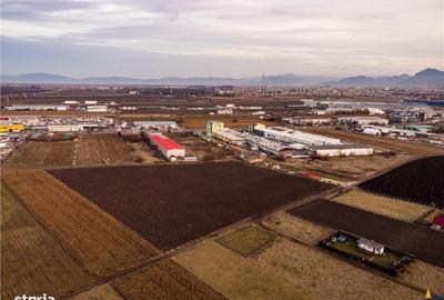 Teren de 5000 mp, în Stupini - 6
