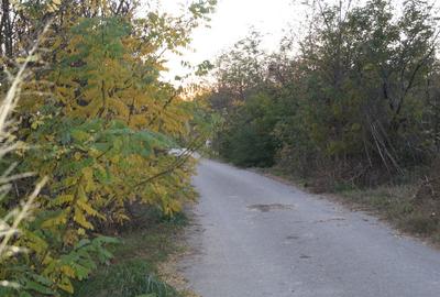 Teren Construcții intravilan de 3243 mp, în Rasa - 7