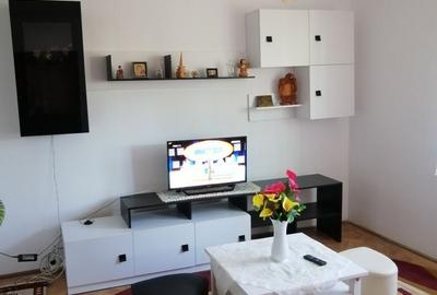 Apartament cu 2 camere semidecomandat în Podgoria - 8