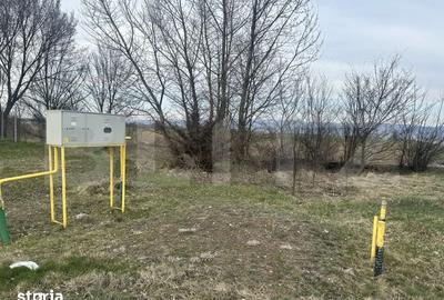 Teren de 32000 mp, în Băcia