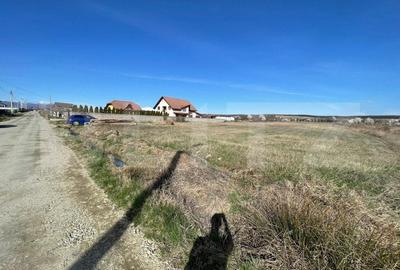 Teren Construcții intravilan de 3405 mp, în Preajba
