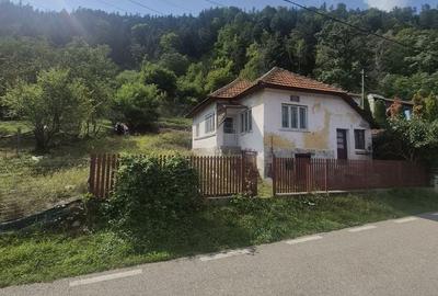 Casă cu 3 camere în Valea Muscelului