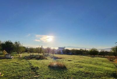 Teren de 965 mp, în Turnișor