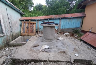 Casă individuală cu 3 camere cu Teren 6500 Mp în Răucești - 6