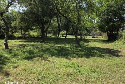 Teren de 1000 mp, în Cârjiți