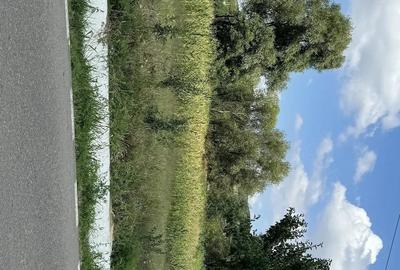 Teren de 1000 mp, în Lipovăț