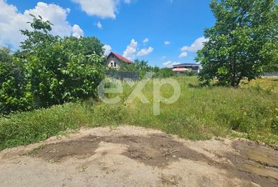 Teren agricol intravilan de 1000 mp, în Popești-Leordeni - 3