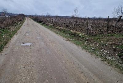 Teren de 4000 mp, în Cârcea - 2