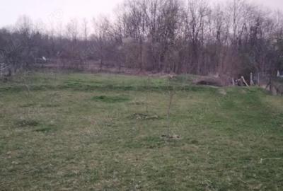 Teren de 1474 mp, în Sălciua - 5