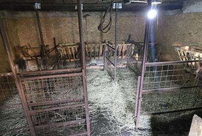 Casă cu Teren 93 Mp în Zaharești - 7