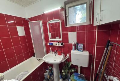 Apartament cu 2 camere semidecomandat în Botizului