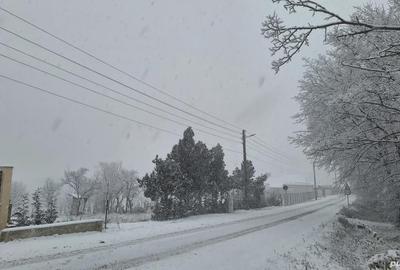 Teren de 5499 mp, în Poiana Tășad - 9