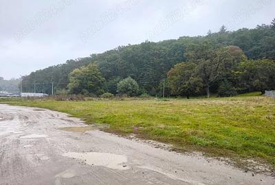 Teren de 2000 mp, în Cristian