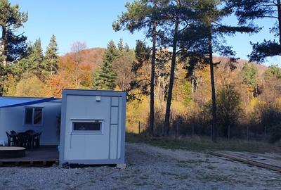 Teren Construcții intravilan de 1500 mp, în Exterior Sud - 7