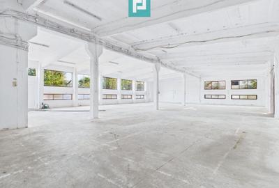 Spațiu industrial, de 1,620 mp, în Exterior Est - 9