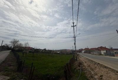 Teren de 1500 mp, în Nord-Est