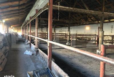 Spațiu comercial, de 2,000 mp, în Bod - 16