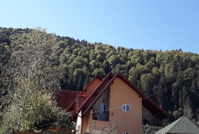 Duplex cu 5 camere cu Teren 600 Mp în Voineasa - 4