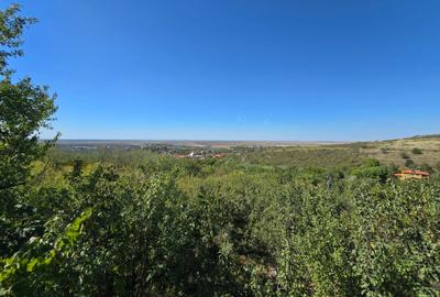 Teren extravilan de 8472 mp, în Ghioroc
