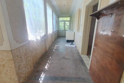 Casă cu 3 camere cu Teren 6674 Mp în Macea - 14