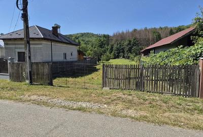 Teren de 1640 mp, în Băbana
