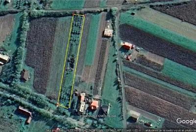 Teren de 2500 mp, în Micula - 3