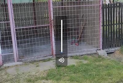 Spațiu comercial, de 20 mp, în Oarja