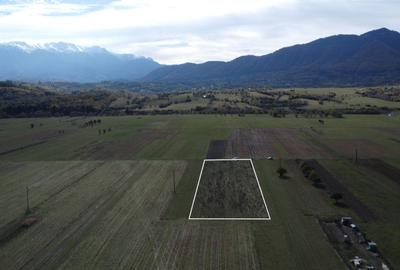 Teren Construcții intravilan de 1690 mp, în Central - 2