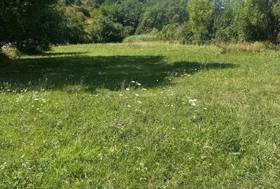 Teren de 2299 mp, în Clopotiva