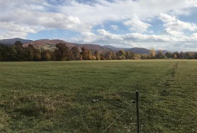 Teren de 29713 mp, în Malnaș - 8