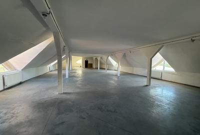 Spațiu comercial, de 800 mp, în Cetate - 4