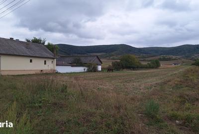 Teren de 1000 mp, în Șieu