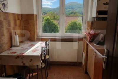 Apartament cu 3 camere semidecomandat în Cetate - 2