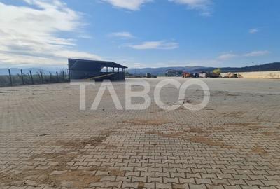 Spațiu industrial, de 250 mp, în Sebeș - 9
