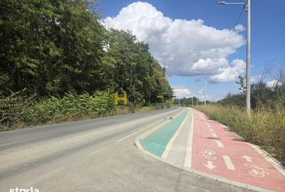 Teren de 7500 mp, în Colibași