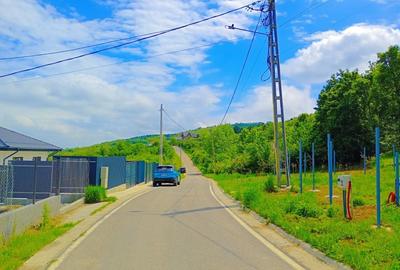 Casă cu 4 camere în Tomești - 2