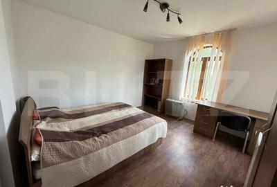 Teren de 37620 mp, în Vetiș - 7