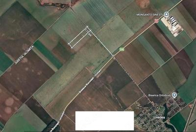 Teren de 12650 mp, în Sinești - 2