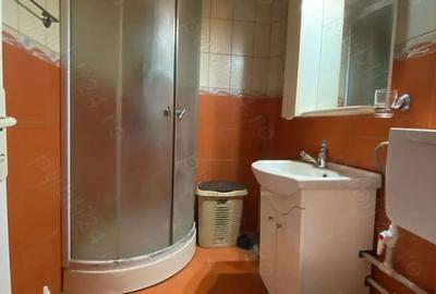 Apartament cu 2 camere decomandat în Casa de Cultură - 2