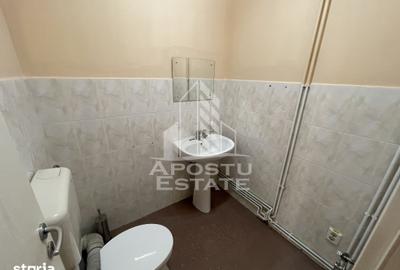 Spațiu comercial, de 284 mp, în Șagului