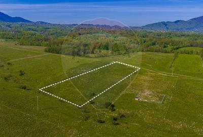 Teren agricol extravilan de 10000 mp, în Glăjărie - 2