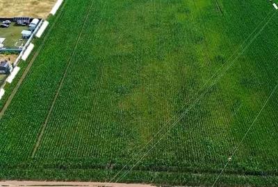 Teren agricol intravilan de 32100 mp, în Hărman - 4